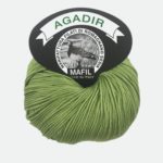 166 ALGA